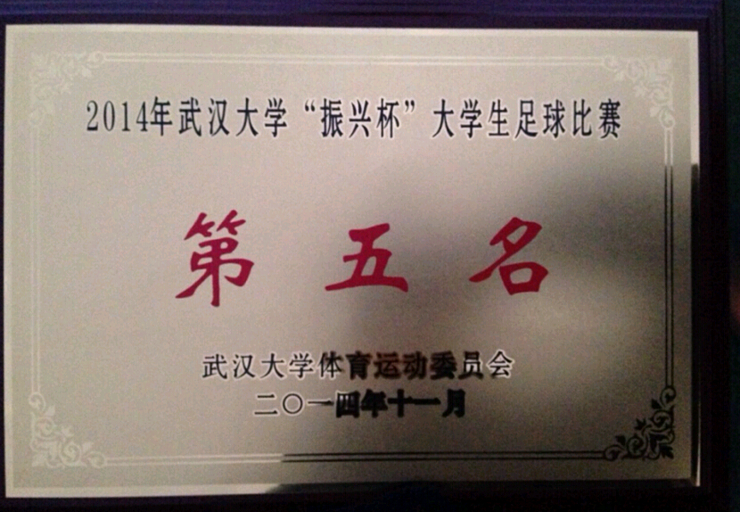 “文”里“文”外，同样精彩——记问鼎娱乐勇夺振兴杯足球第五名、排球“4+2”亚军