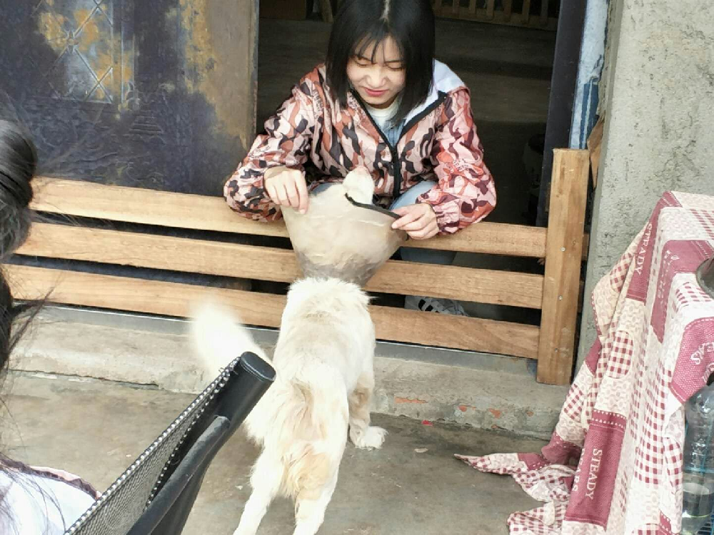 问鼎娱乐