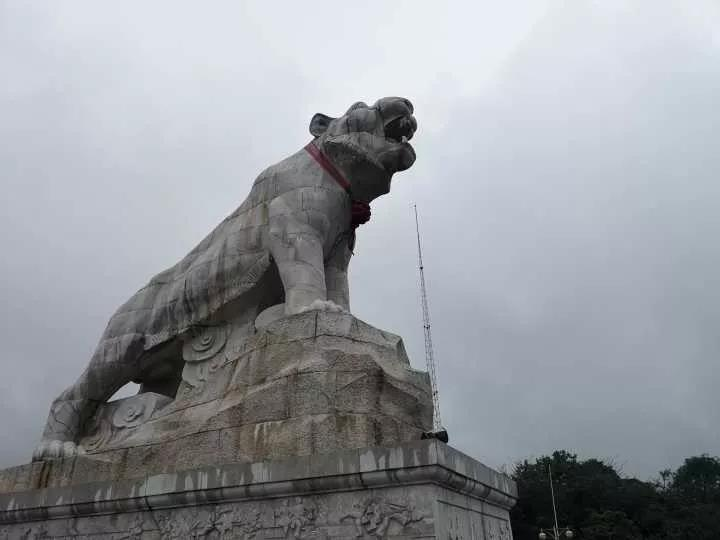 问鼎娱乐