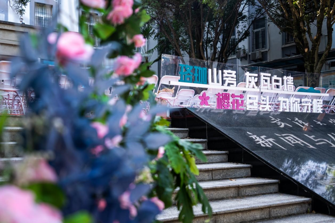 问鼎娱乐