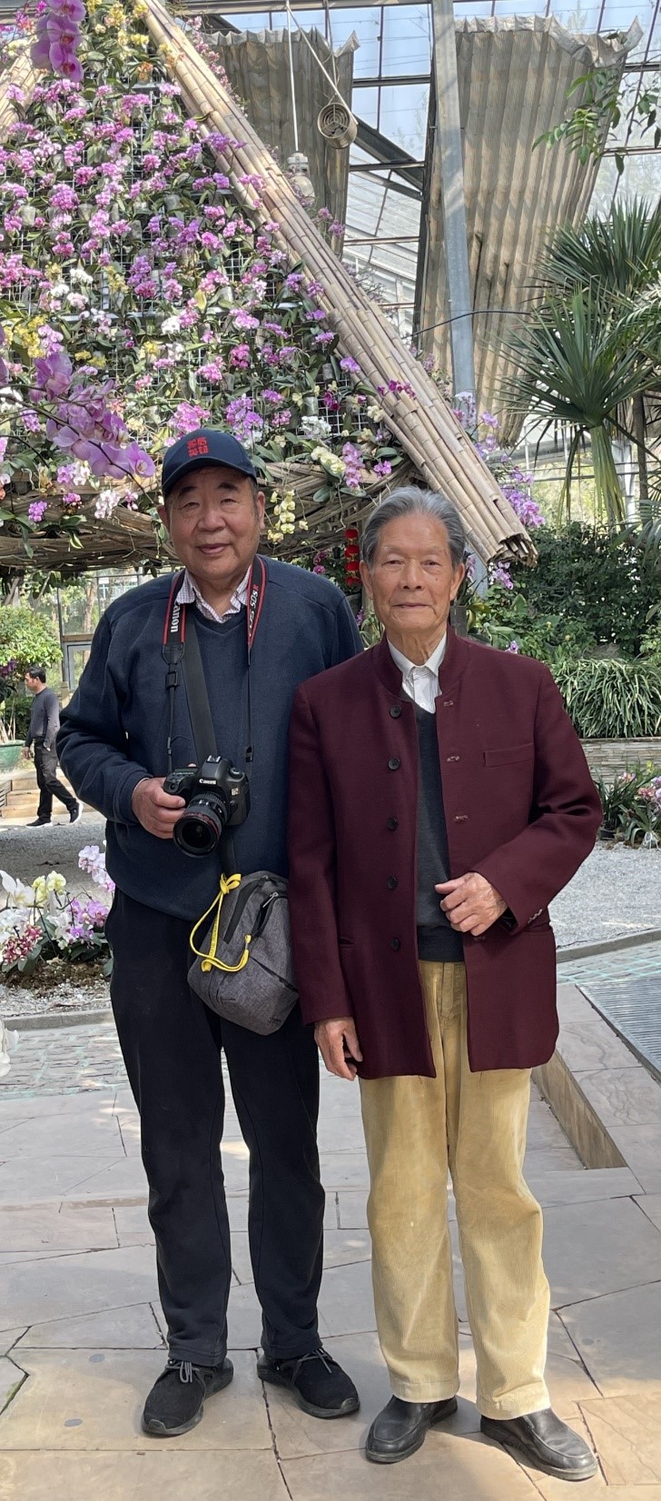 问鼎娱乐